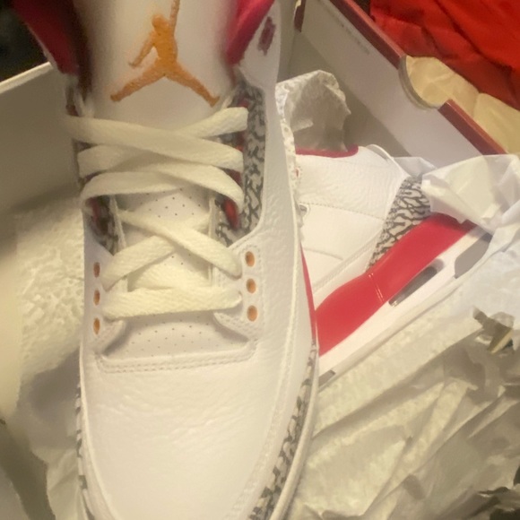 Air Jordan 3 Retro Cardinal Red 8